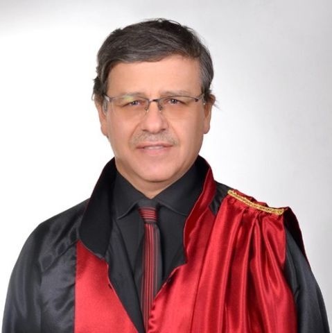 Prof. Dr. Akın İşcan