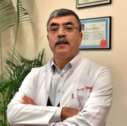 Prof. Dr. Sedat Demir