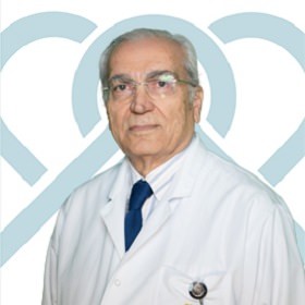 Prof. Dr. Hulusi Koçak