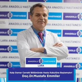 Doç. Dr. Mustafa Emmiler